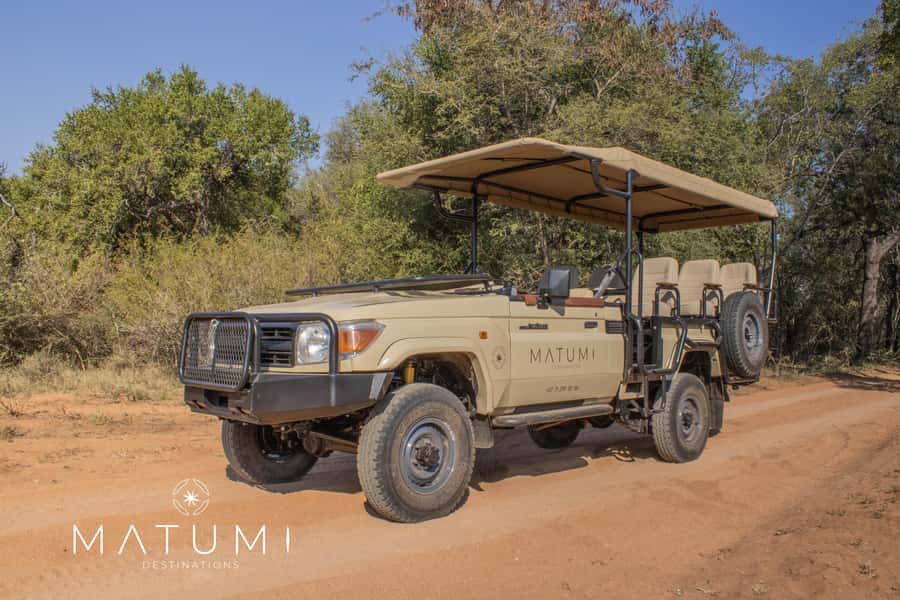 Big 5 Safari Am or Pm - The four-hour game drive in Kruger National Park