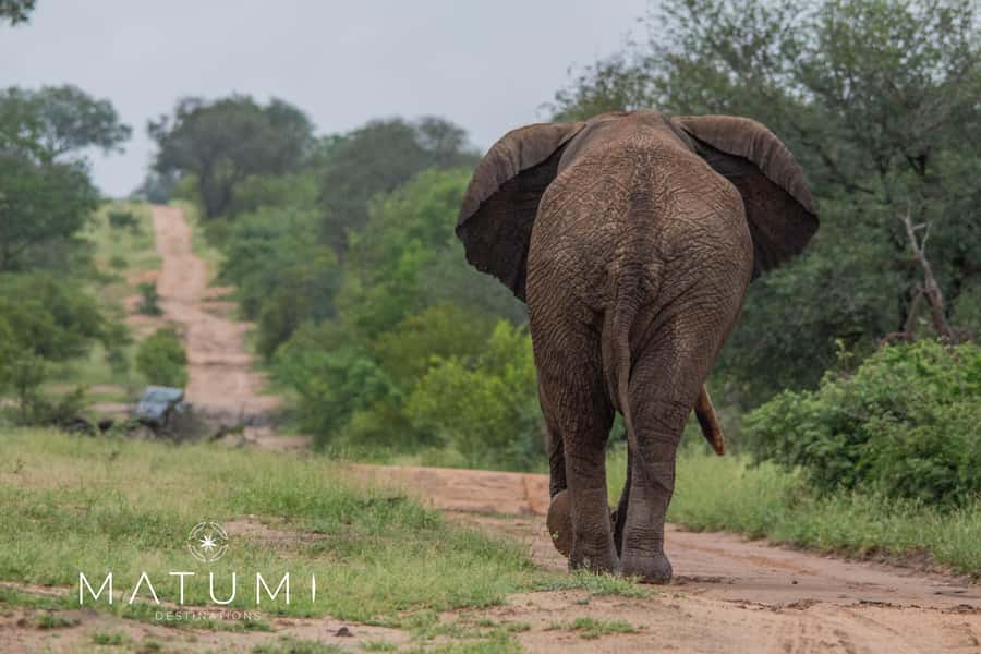 Big 5 Safari Am or Pm - What the shared vehicle means for you