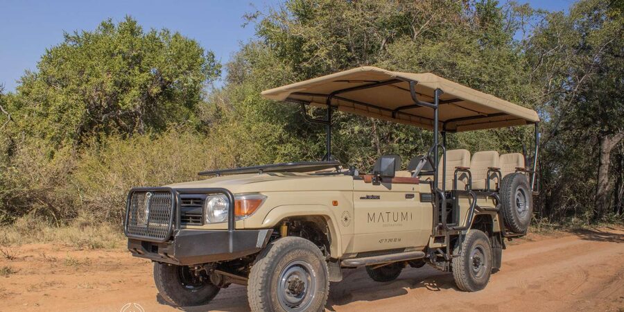 Big 5 Safari Am or Pm - Should you book the Big 5 Safari?