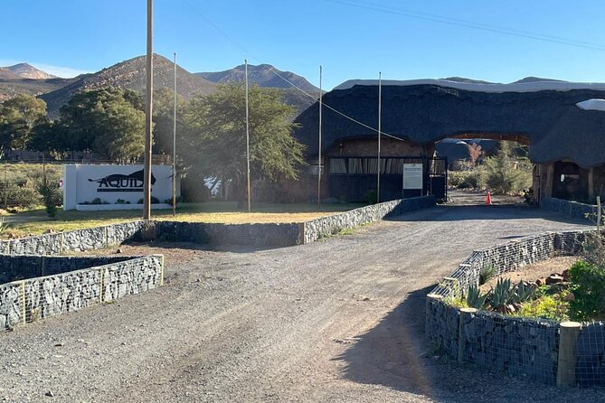 Big 5 Safari Aquila Full Day Private Return From Cape Town - The 2 to 3-hour open-vehicle game drive