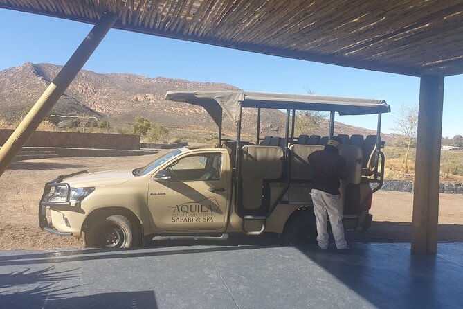 Big 5 Safari Aquila Full Day Private Return From Cape Town - Lunch beside the pool after the animals
