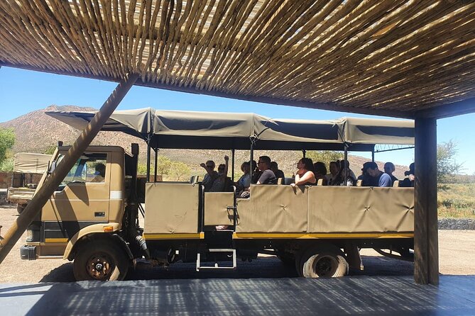 Big 5 Safari Aquila Full Day Private Return From Cape Town - Adding a winery stop on the return
