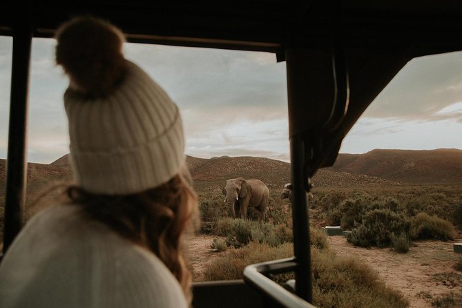 Big 5 Safari One Day Tour - The road through Du Toitskloof and the Breede Valley