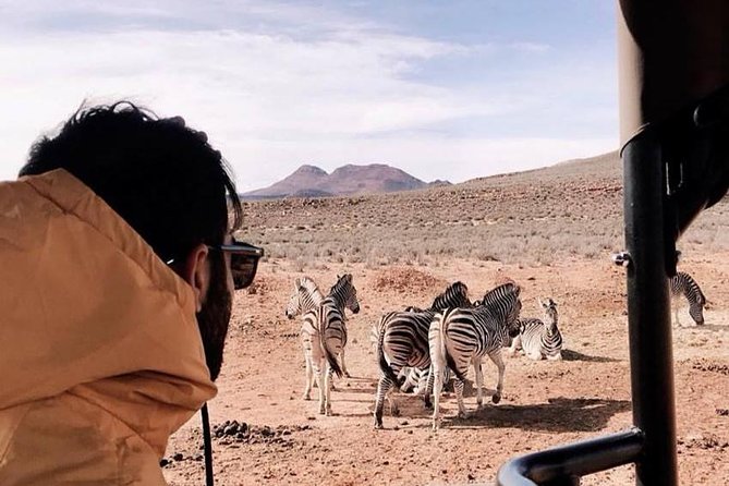 Big 5 Safari One Day Tour - What the reserve can and cannot replace
