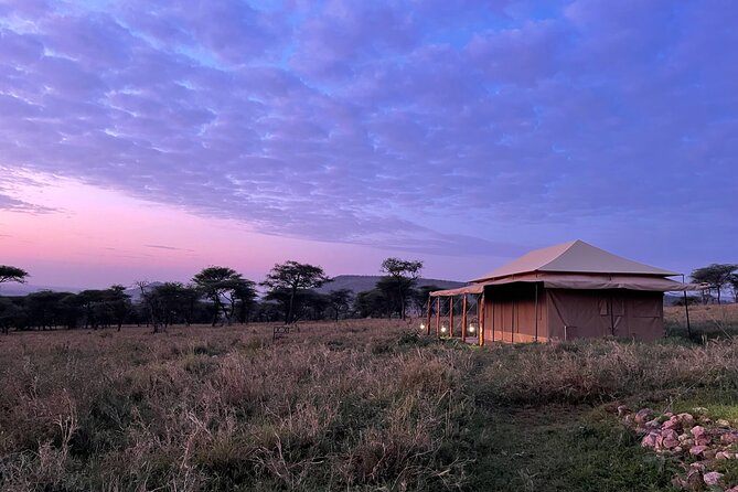 Big Five Dream Safari - Serengeti delivers the big sense of space