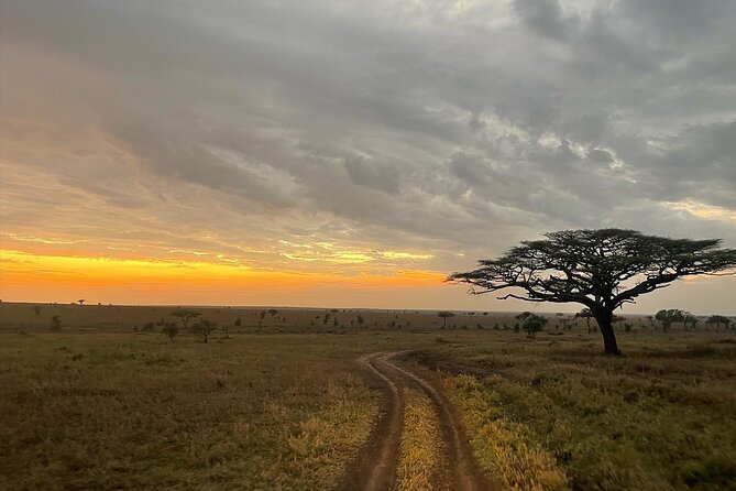 Big Five Dream Safari - Ngorongoro Crater packs wildlife into one dramatic setting