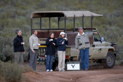 Big Five Game Reserve Wildlife Safari from Cape Town