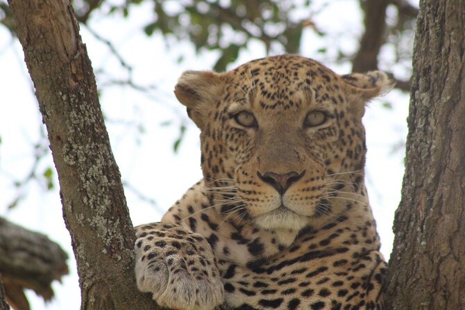 Big Five Luxury Safari in Tanzania - Day 2: Lake Eyasi and a quieter side of Tanzania