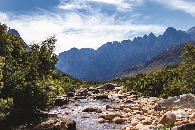 Big Five Safari and Breede River Valley Guided Day Trip - A Cape Town safari for people short on time