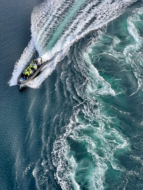 Bodø: Saltstraumen RIB Safari - Saltstraumen and the force of the tide