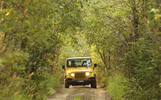 Bodrum: Full-Day Jeep Safari with Lunch and Hotel Transfer - Water, mud, and optional thrills