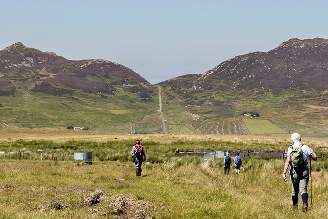 Bog Safari Hike - Why a Donegal bog is worth your time