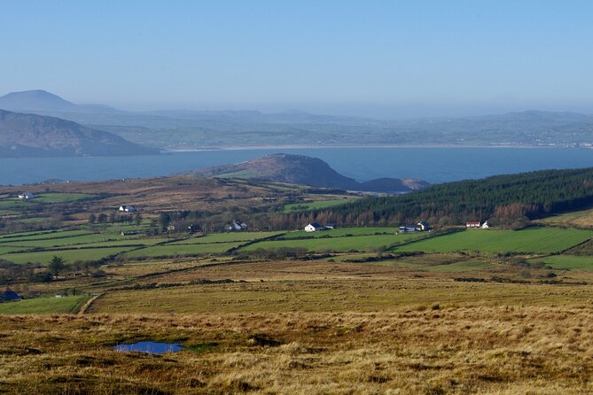 Bog Safari Hike - Reading the bog through time