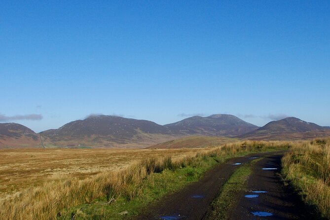 Bog Safari Hike - Wide Wild Atlantic Way views