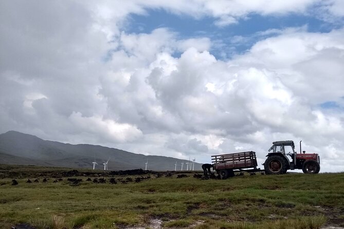 Bog Safari Hike - What the two hours feel like