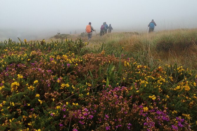 Bog Safari Hike - Who should book the Bog Safari Hike?