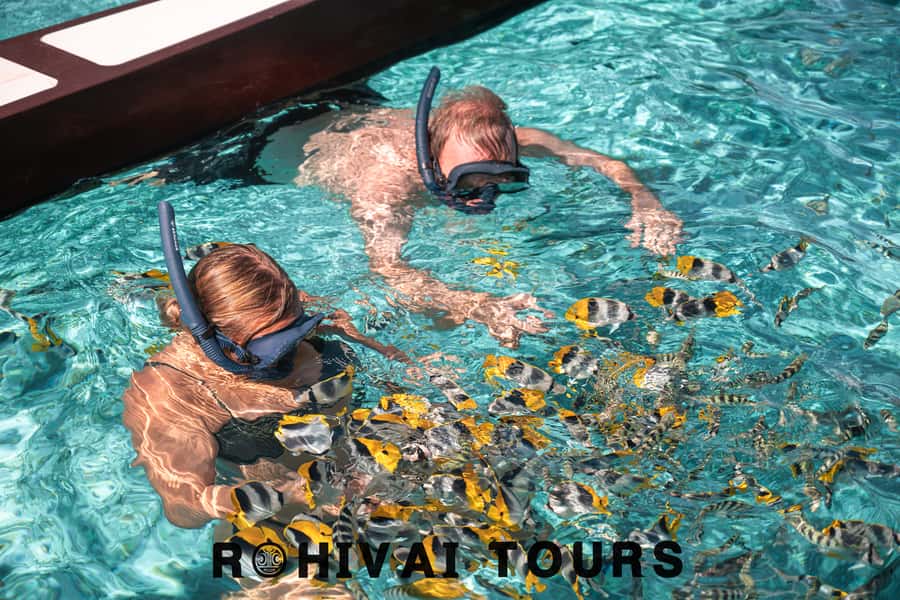 Bora Bora: 1/2 day lagoon safari - Shared tour - What makes this lagoon safari worth your time