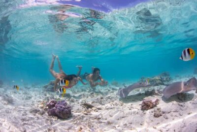 Bora Bora: Eco Shark and Snorkeling Safari