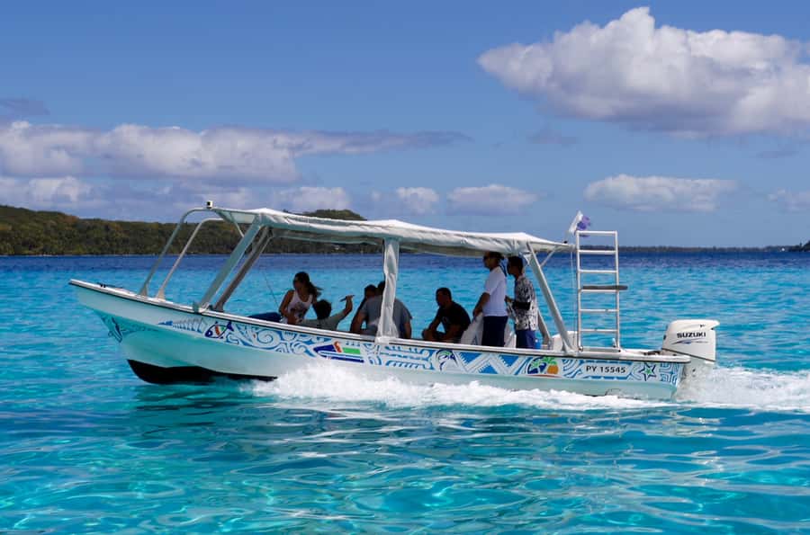 Bora Bora: Eco Shark and Snorkeling Safari - Should you book the Bora Bora shark safari?