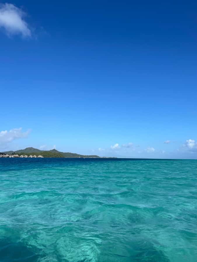 Bora Bora: Full day Lagoon Safari & Lunch on a Motu - ST - Lunch and local touches on the motu
