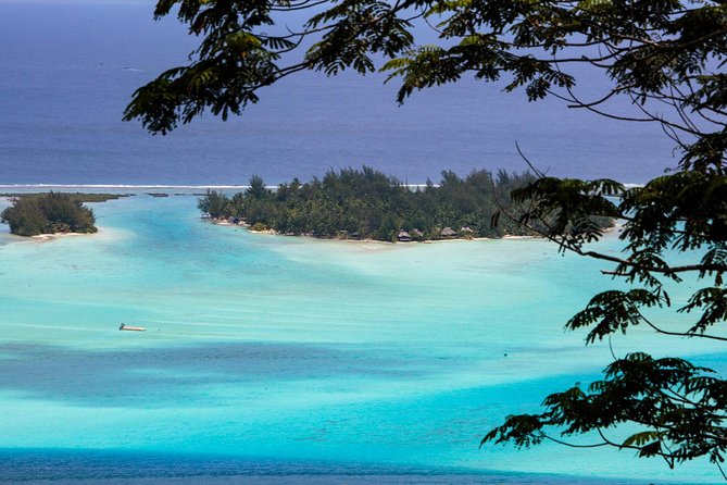 Bora Bora Half Day 4X4 Island Safari Tours - Timing, pickup, and group size