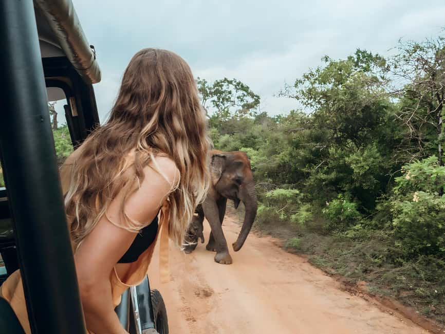 Budget Yala Safari with Accomadation & Meals Included - Dinner in an open kitchen