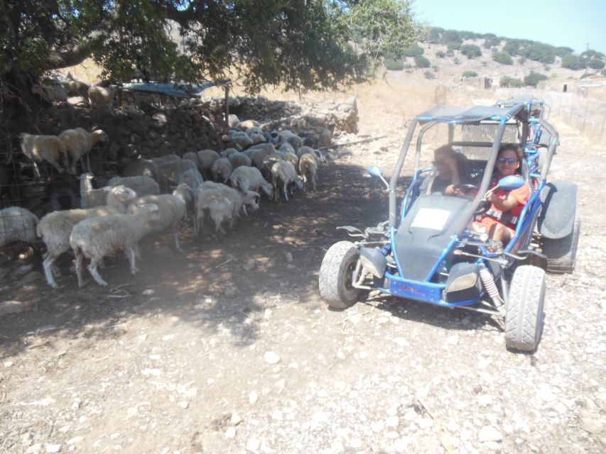 Buggy safari Crete (Transfer and lunch) analipsi- hersonisos - Mountain gorges and the changing pace of the route