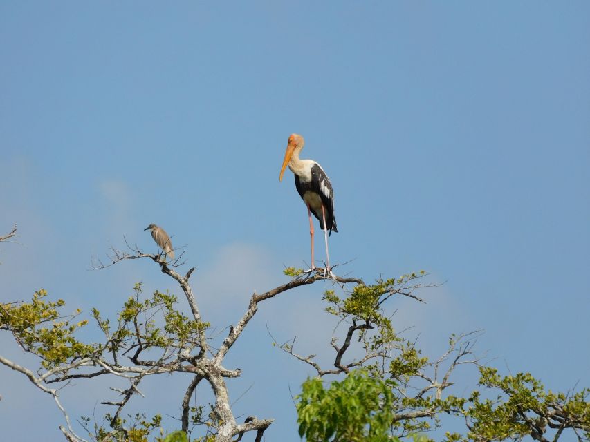 Bundala National Park Safari (PRIVATE TOURS) - The guides make the biggest difference