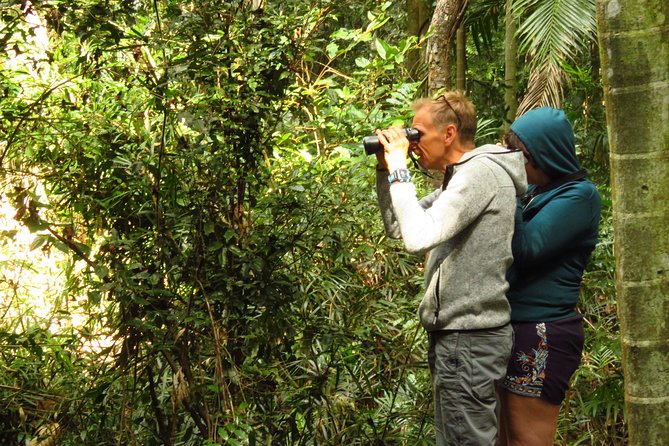 Byron Bay Wildlife Safari - Three Byron Bay habitats, one wildlife-focused day