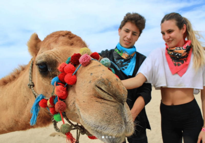 Cabo: Camel Safari Adventure with Tacos - The kids club and family fit