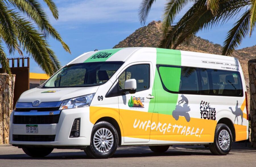 Cabo: Camel Safari Adventure with Tacos - Who should book this camel safari