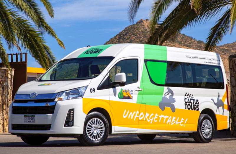 Cabo: Camel Safari Adventure with Tacos - Should you book it?