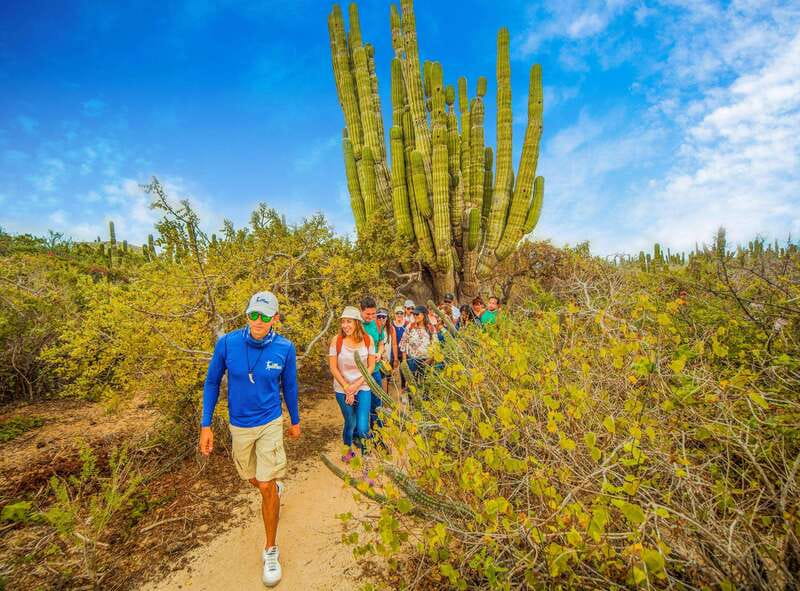 Cabo San Lucas: Camel Safari Tour with Lunch and Tequila - Practical advice for a smoother visit