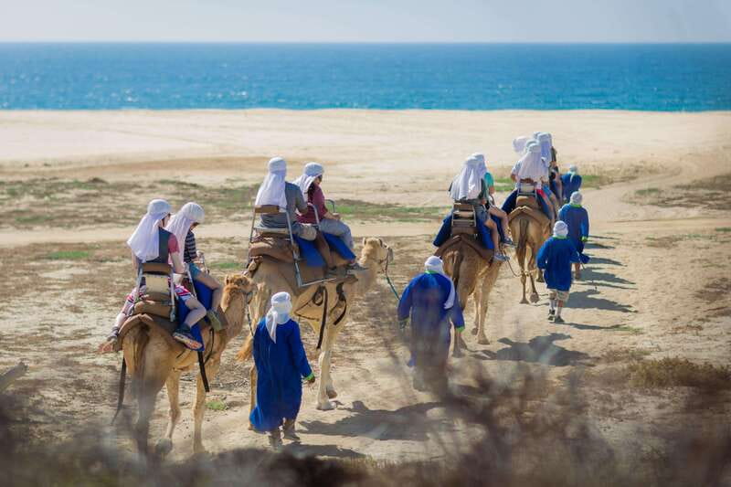 Cabo San Lucas: Camel Safari Tour with Lunch and Tequila - A camel ride beside Baja’s Pacific shore