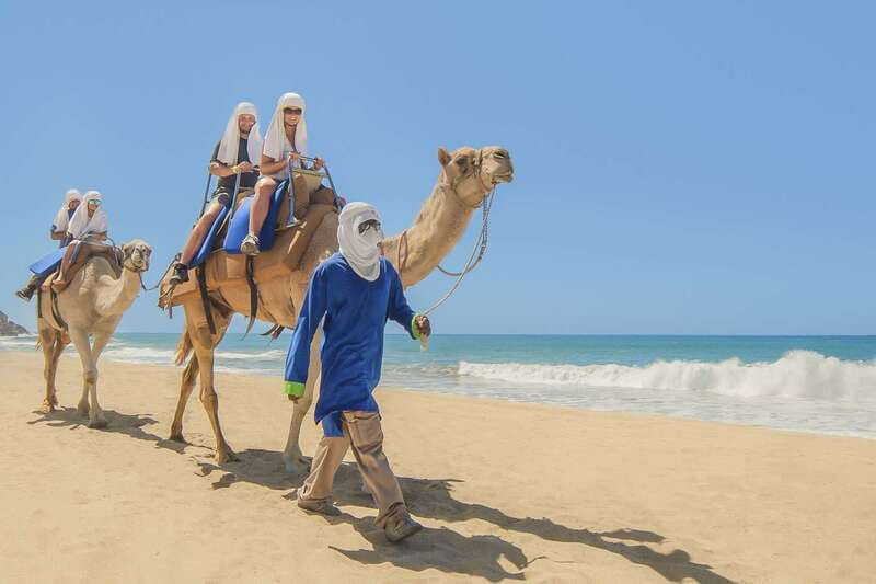 Cabo San Lucas: Camel Safari Tour with Lunch and Tequila - What the transportation means for your schedule