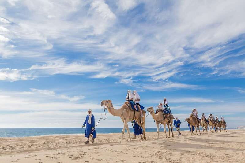 Cabo San Lucas: Camel Safari Tour with Lunch and Tequila - The desert walk adds more than a photo stop