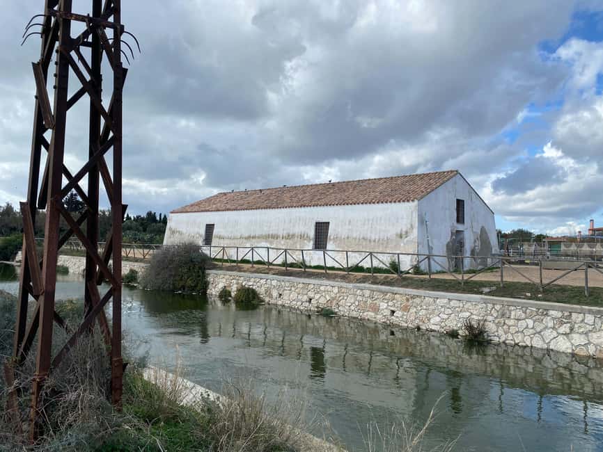 Cagliari: EcoSafari Flamingos Tour in Molentargius Park - Why Molentargius Park is worth your time