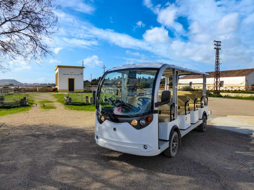 Cagliari: EcoSafari Flamingos Tour in Molentargius Park - Starting at the Infopoint
