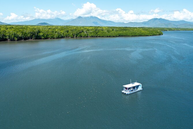 Cairns Trinity Inlet Sightseeing Safari - Key things to know before you book
