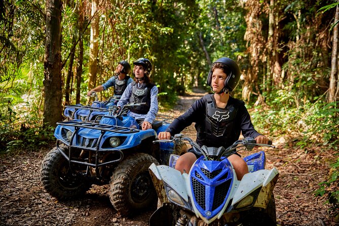 Cairns Trinity Inlet Sightseeing Safari - Wildlife watching without false promises