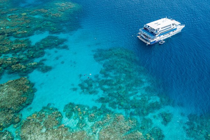 Cairns Trinity Inlet Sightseeing Safari - The guide makes the short trip worthwhile