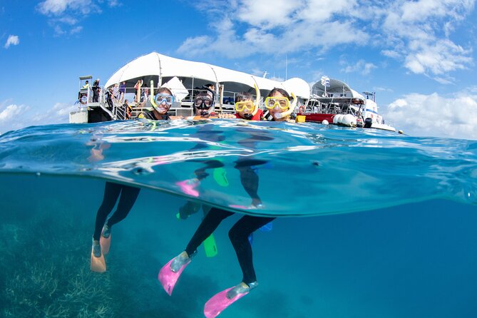 Cairns Trinity Inlet Sightseeing Safari - Who will enjoy this Cairns cruise most