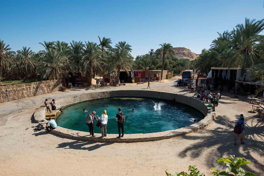Cairo: 3-Day Siwa Oasis Tour, Safari, Camp & Historical Site - Key points at a glance