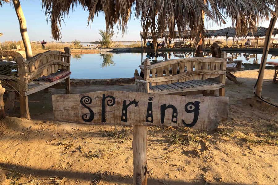 Cairo: 3-Day Siwa Oasis Tour, Safari, Camp & Historical Site - Salt lakes: Siwa’s most surprising swim