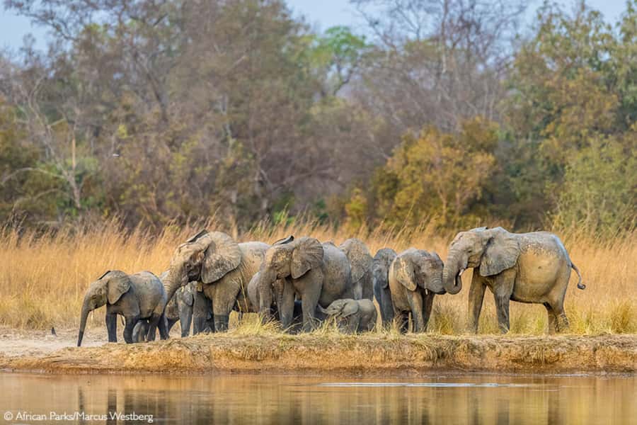 Cairo: Guided Day Trip to Africa Safari Park with Lunch - Is $154 per person fair value?