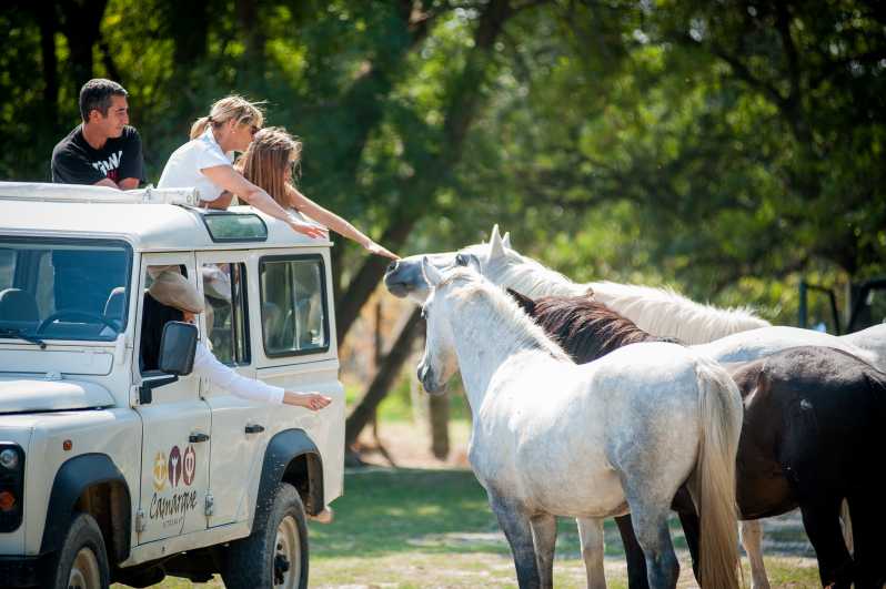 Camargue: Half-Day 4x4 Guided Safari Adventure - Why the Camargue works best by 4x4