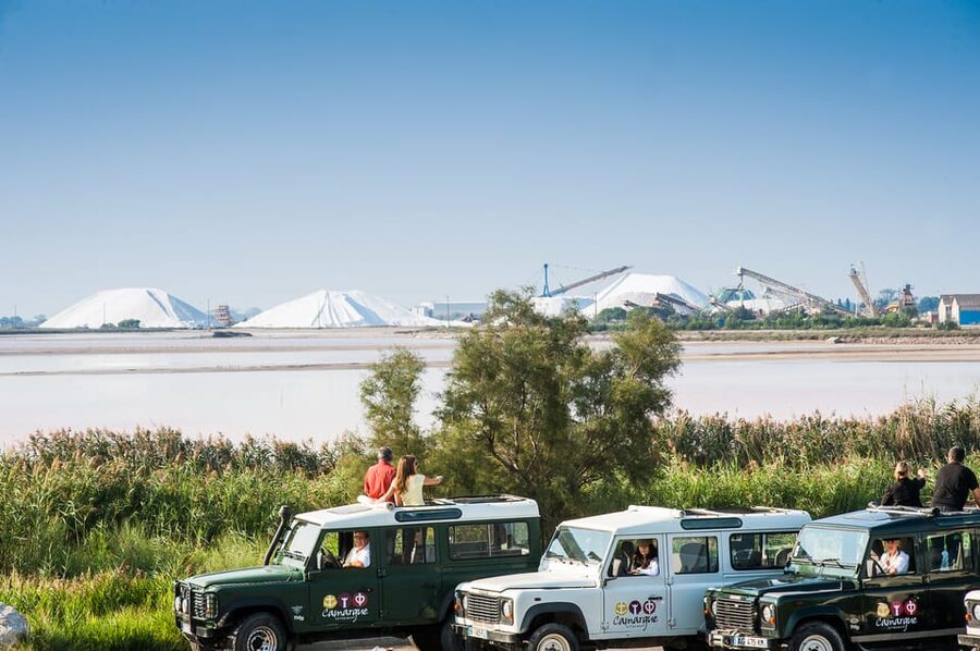 Camargue: Half-Day 4x4 Guided Safari Adventure - Aigues-Mortes adds a medieval change of pace