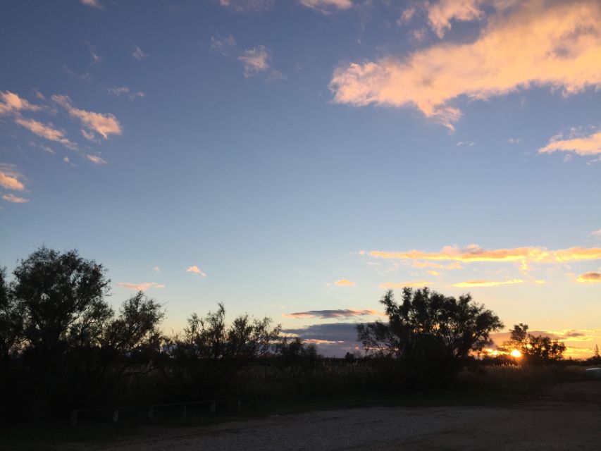 Camargue: Safari from Saintes-Maries-de-la-Mer - Stories about Saintes-Maries-de-la-Mer and local life