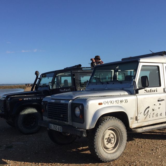 Camargue: Safari from Saintes-Maries-de-la-Mer - The vehicle, timing, and comfort questions