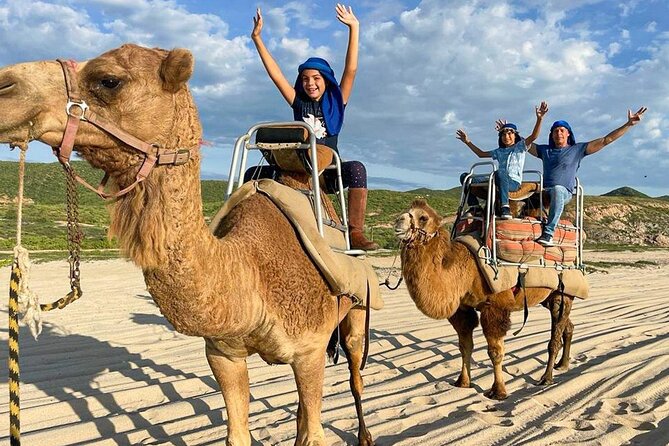 Camel Encounter and Safari Ride with Lunch and Alcohol Tasting - The camel ride: scenic, unusual, and short